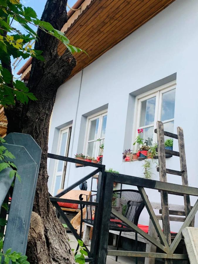 The Best View On Tbilisi Exterior foto